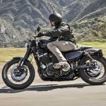 Par de ponteiras de escapamento direta Harley Davidson Roadster 1200