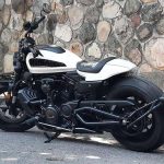 Par de ponteiras de escapamento com abafador Harley Davidson Sportster 883