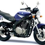 Ponteira de escapamento inox com abafador Suzuki GS 500