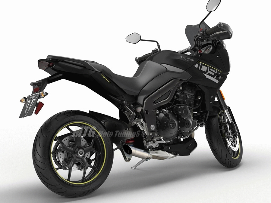Ponteira de escapamento inox com abafador Triumph Tiger 1050